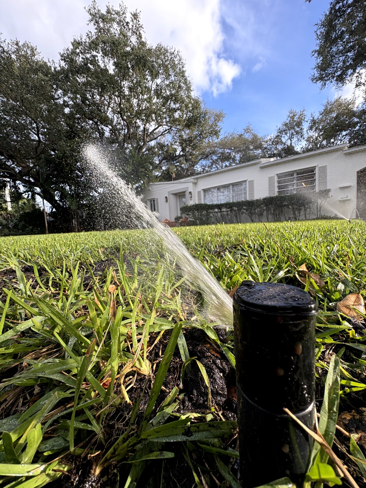 Professional Sprinkler Repair in Sunset