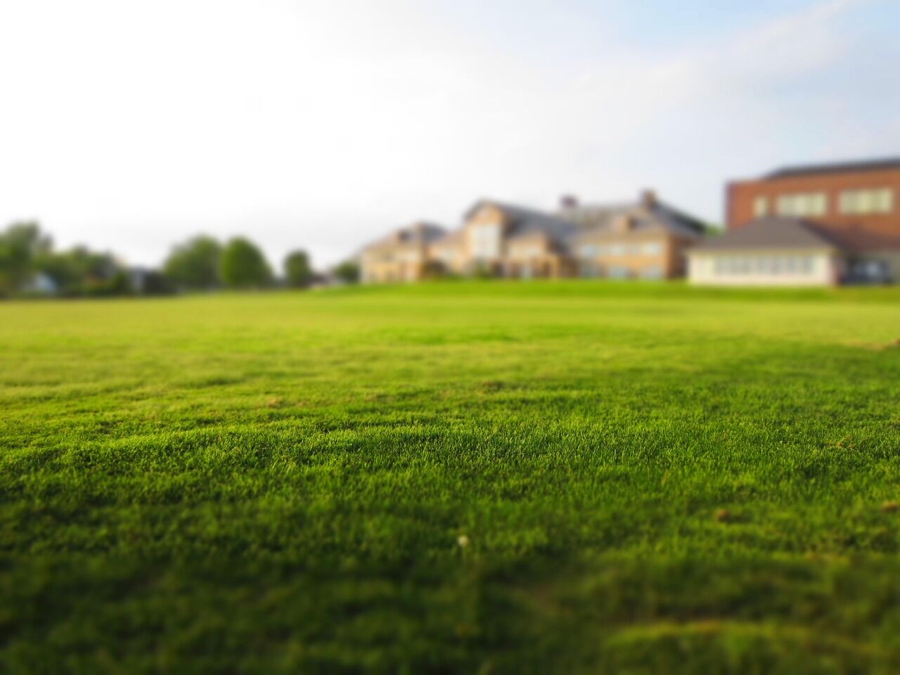 healthy green lawn after sprinkler head replacement and coverage adjustment in Miami